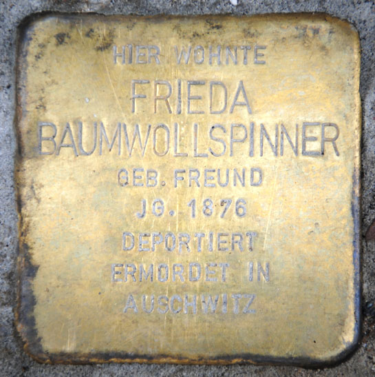 Stolperstein für Frieda Baumwollspinner, Judengasse 8