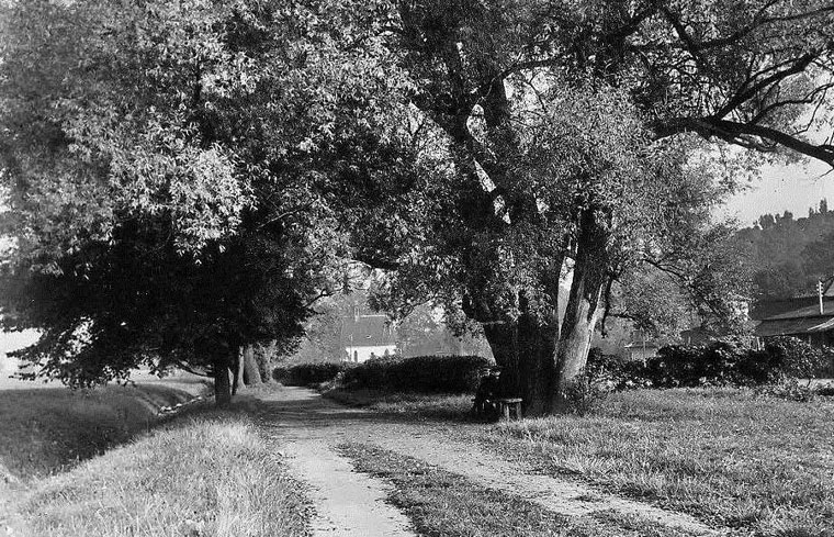 Finkenauer Weg